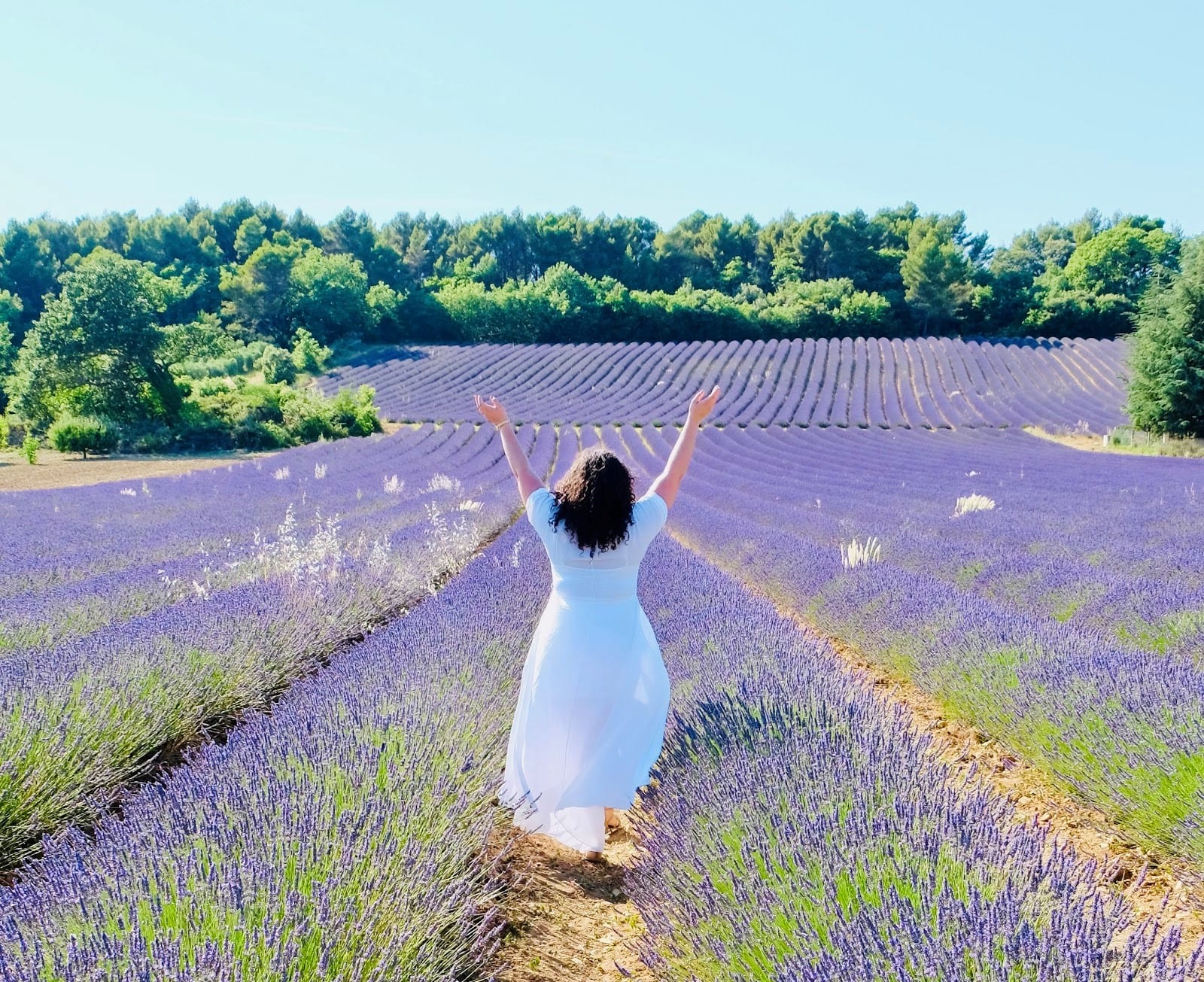 woman in lavender fields