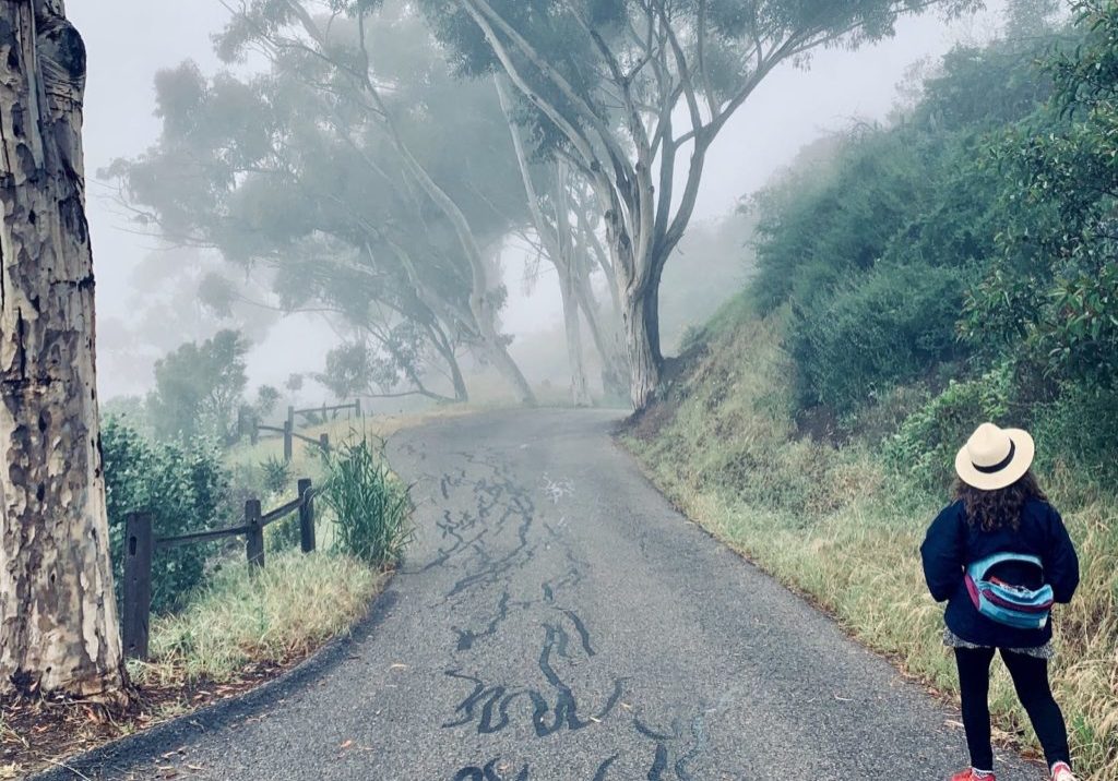 Road-Less-Traveled