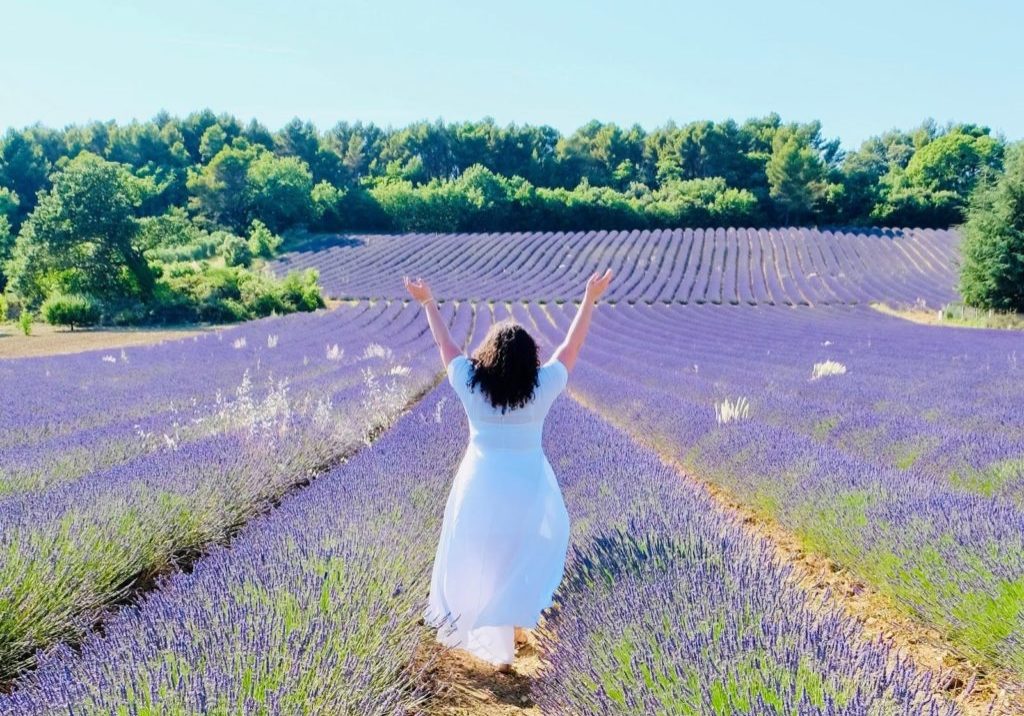 woman in lavender fields
